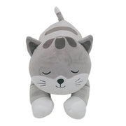 Peluche - Gato